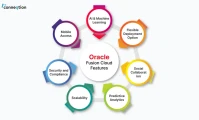 Oracle Stock: What the Data Really Says