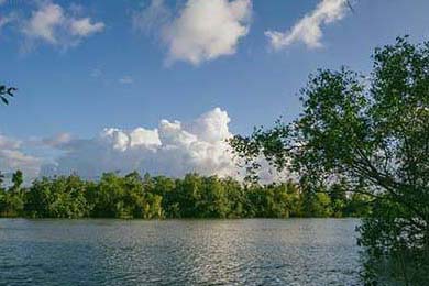 Crypto Payroll's Evolution: Momentum Trading Meets Fintech: The Unvarnished Outlook