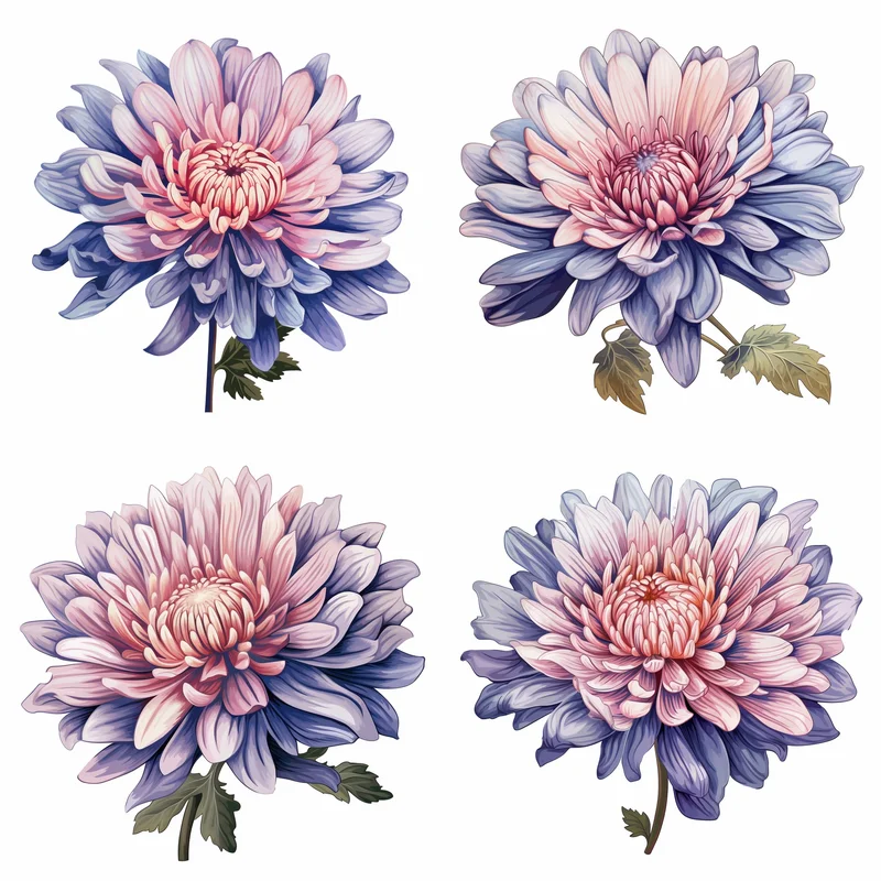 Aster's Data & Price Discrepancy: Examining the Data Gaps, Whale Exits, and Price Outlook