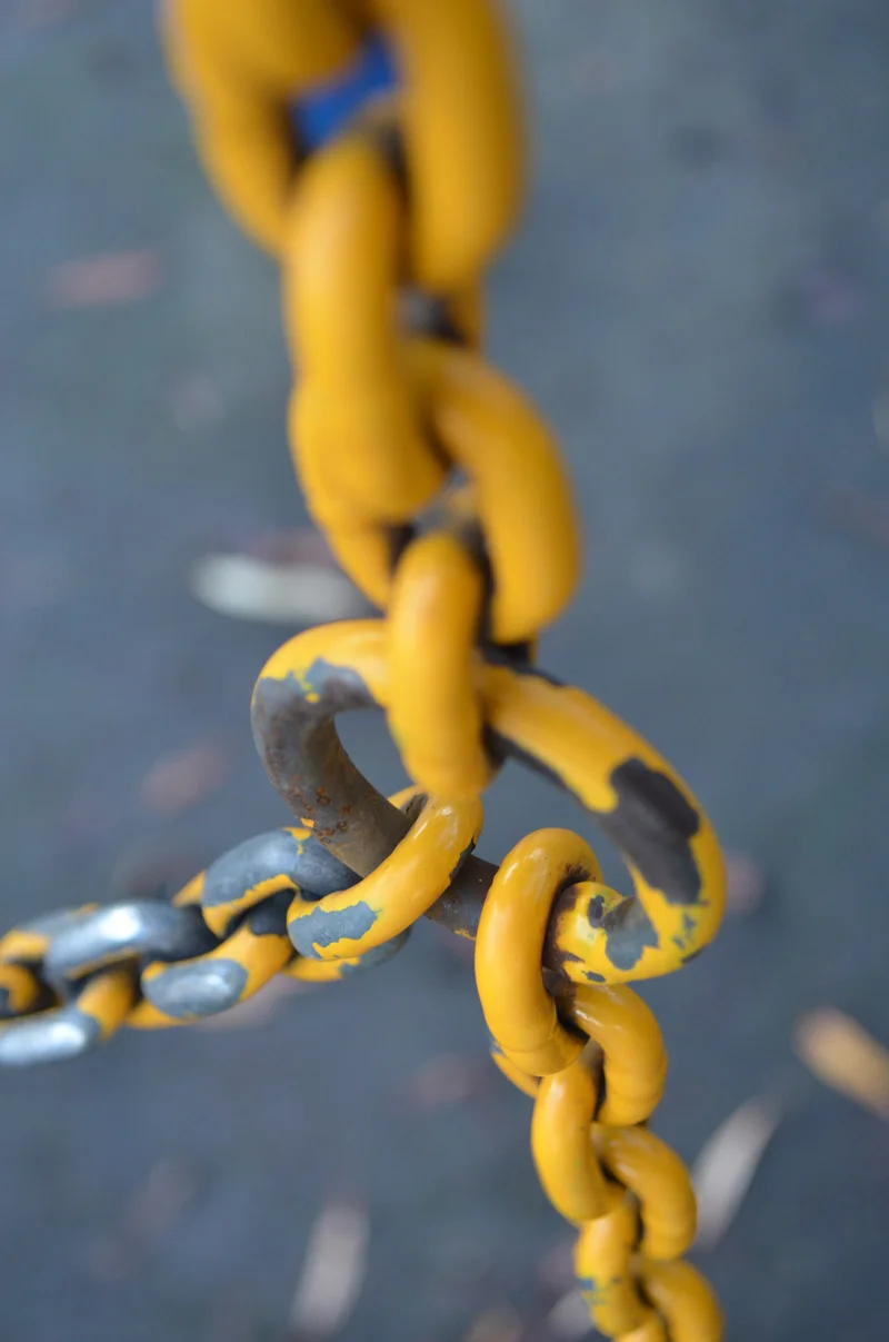 The Surprising Science of Mexican Restaurant Chains: What the Winners Get Right and the Lessons for Future Innovation