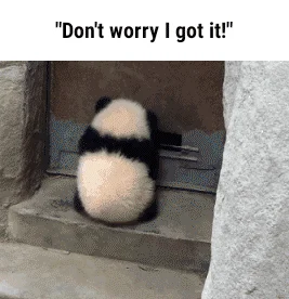 The S&P 500 Rally: What's Behind the Surge and Where We Go From Here