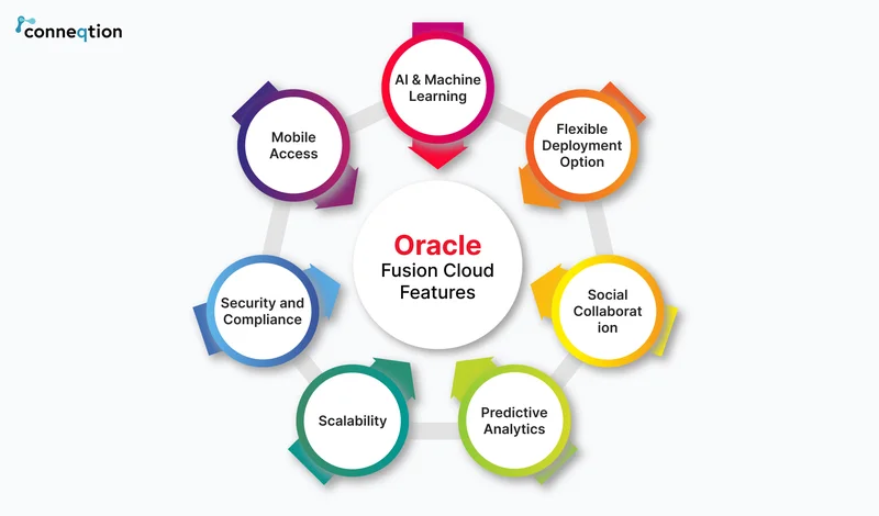 Oracle Stock: What the Data Really Says